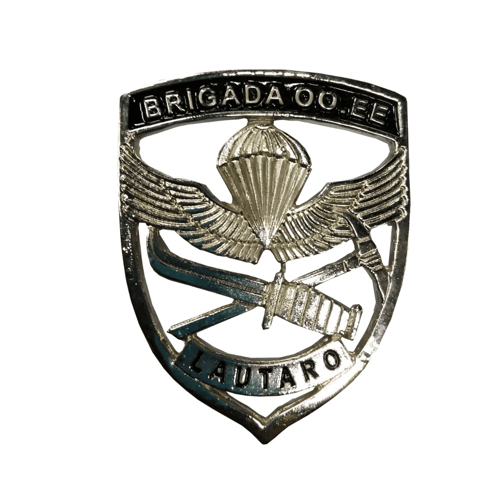 PIOCHA BRIGADA OO.EE LAUTARO