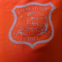 Polera Roja Manga Larga Dry Fit Ejército de Chile
