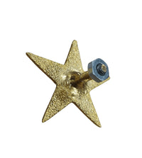 PIOCHA ESTRELLA DORADA CHICA