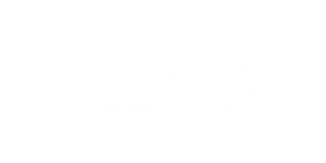 Bisonte | Equipamiento Militar