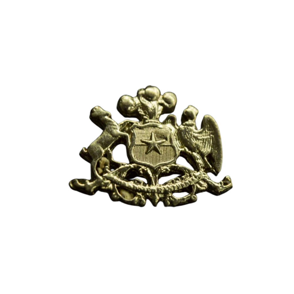 Piocha Escudo Nacional de Chile