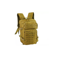 MOCHILA TREKKING 25 LITRO