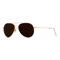 Lentes De Aviador American Optical / Estilo Ray-Ban Rose
