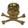 PIOCHA HUSARES DE LA MUERTE 3D Dorado