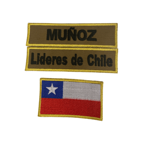 Parches de la Escuela Internacional de Líderes