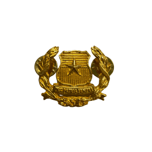 Piocha de Subsecretaria de las Fuerzas Armadas de Chile