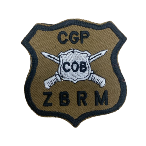 Parche Escarapela División de Bienestar ZBRM