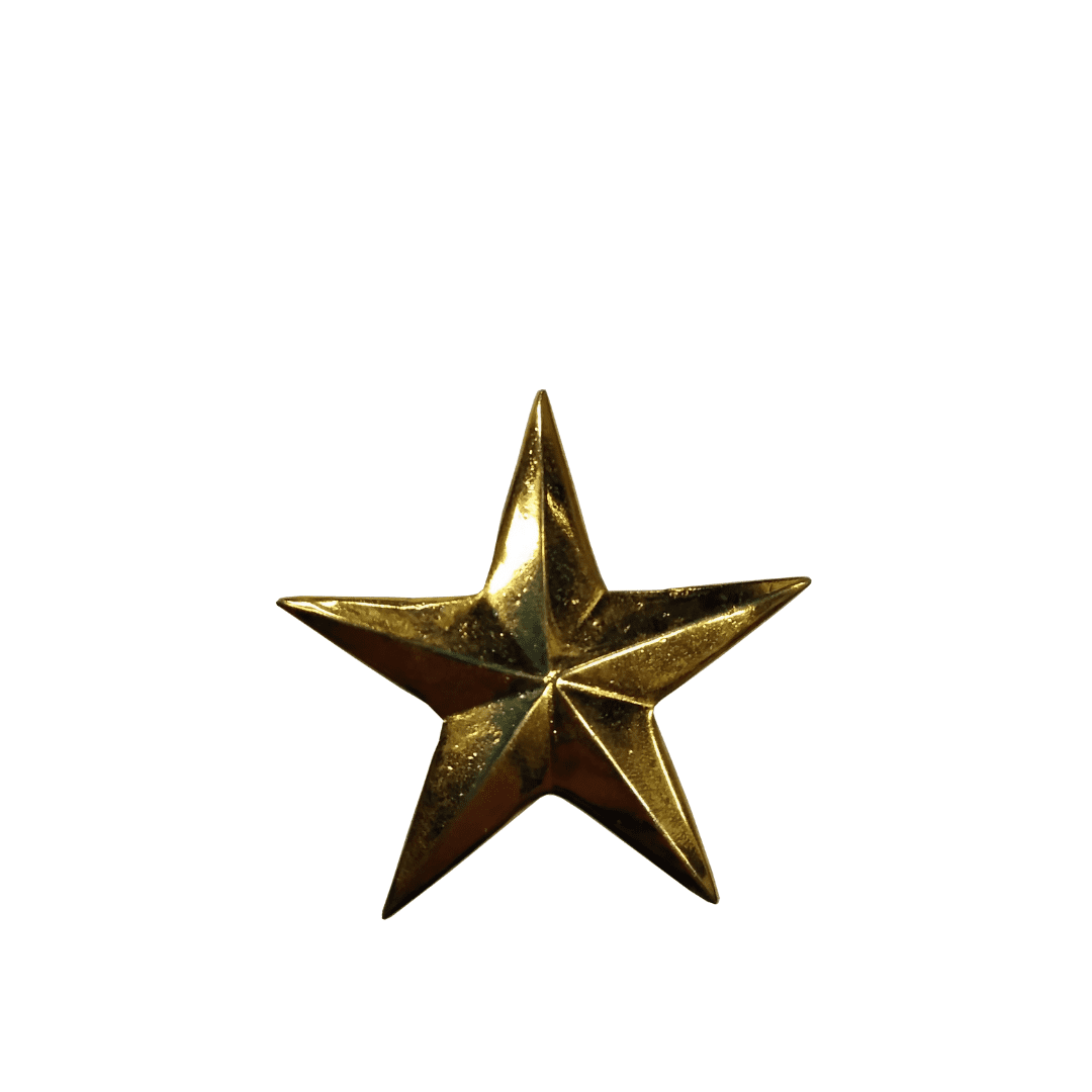 PIOCHA ESTRELLA DORADA PIOCHA ESTRELLA DORADA CHICA