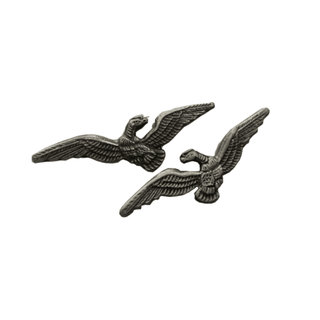 Pack de 2 Piochas Metálicas Cóndor Fuerzas Aéreas