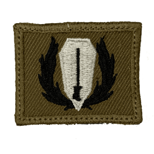 PARCHE ESPECIALIDAD CABALLERÍA BLINDADA